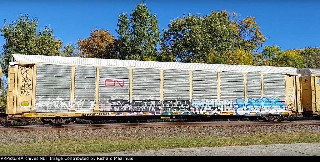 TTGX 965259 CN